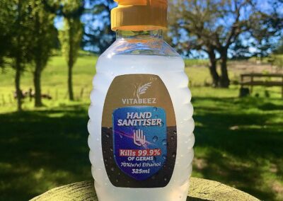 Hand Sanitizer – 325ml