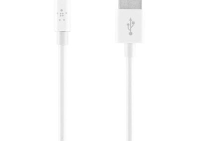 Apple Lighting to USB Cable